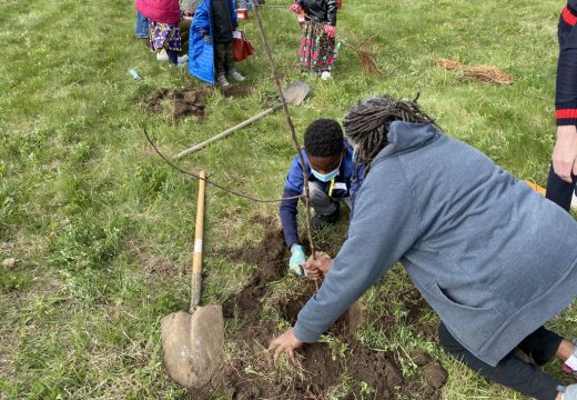 2021 Plant Your Dreams at Big Apple Orchard (Mt. Vernon, IA). Nancy Humbles (President, CRCSD Board of Education) assisting during the planting.