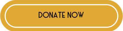 Donate Now Button